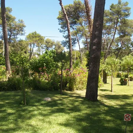 Exclusive Beachfront House *